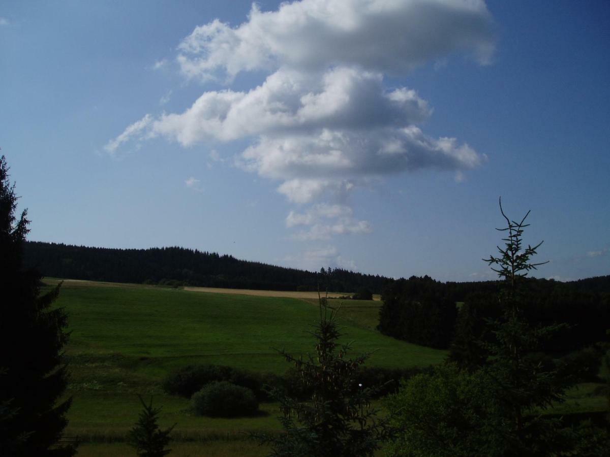 Eifelcottage Family 9 Ulmen Экстерьер фото