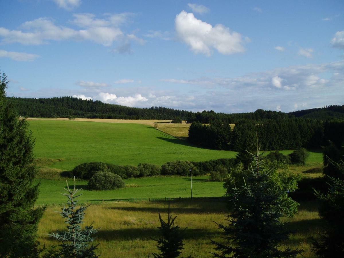 Eifelcottage Family 9 Ulmen Экстерьер фото